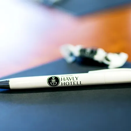 Hotel Havly